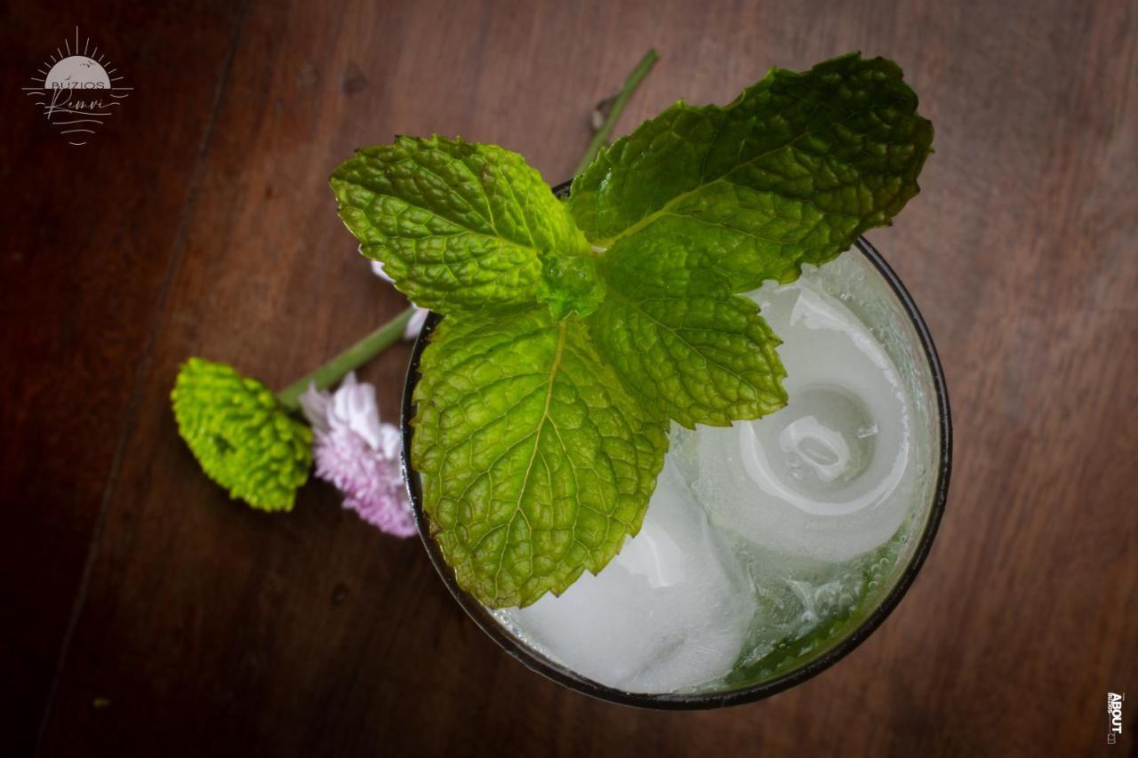 Pousada Praia Joao Fernandes Búzios Exterior foto Mint leaves in a drink